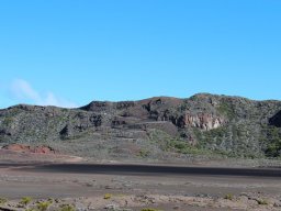 Vis et Lutz : Nos premiers visiteurs !